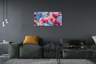 Tableaux sur toile canvas Fleurs d'arbres