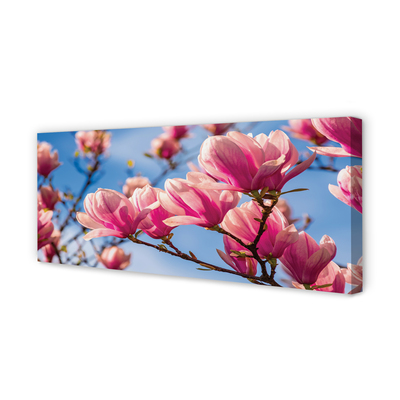 Tableaux sur toile canvas Fleurs d'arbres