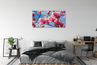 Tableaux sur toile canvas Fleurs d'arbres