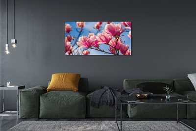 Tableaux sur toile canvas Fleurs d'arbres