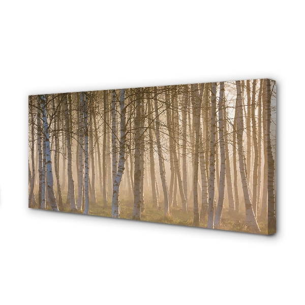 Tableaux sur toile canvas Forêt de sunrise
