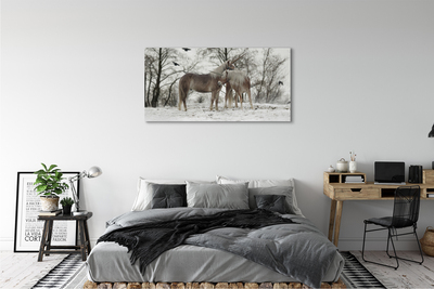 Tableaux sur toile canvas Licornes forêt hiver