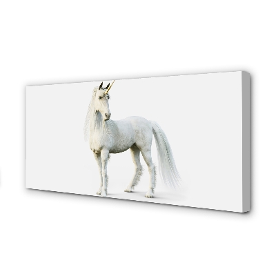 Tableaux sur toile canvas Licorne blanche