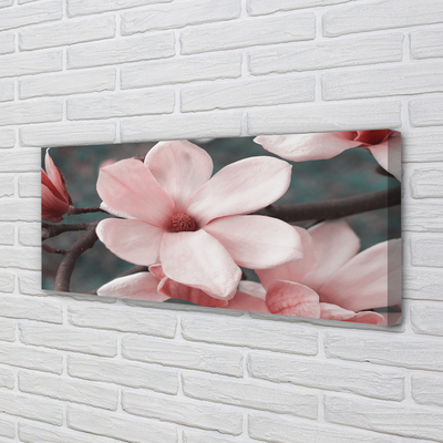 Tableaux sur toile canvas Fleurs roses