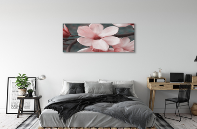 Tableaux sur toile canvas Fleurs roses