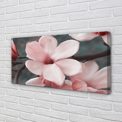 Tableaux sur toile canvas Fleurs roses