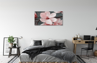 Tableaux sur toile canvas Fleurs roses