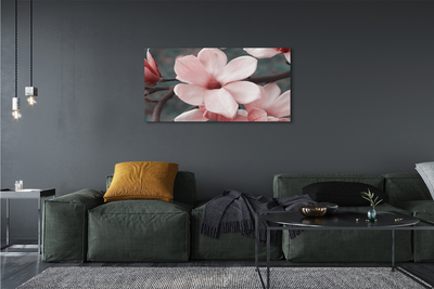 Tableaux sur toile canvas Fleurs roses