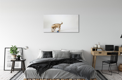 Tableaux sur toile canvas Jouer avec le chien