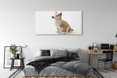 Tableaux sur toile canvas Assis petit chien