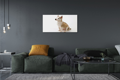 Tableaux sur toile canvas Assis petit chien