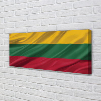 Tableaux sur toile canvas Pavillon de la lituanie