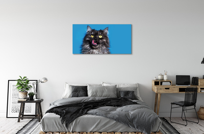 Tableaux sur toile canvas Oblizujący un chat