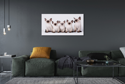 Tableaux sur toile canvas Petits chats