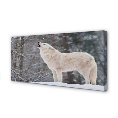 Tableaux sur toile canvas Loup forêt d'hiver