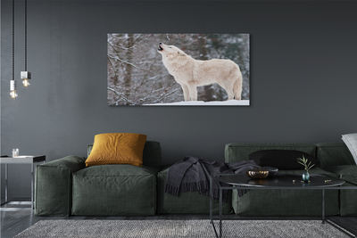 Tableaux sur toile canvas Loup forêt d'hiver