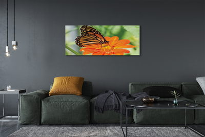 Tableaux sur toile canvas Fleur papillon coloré