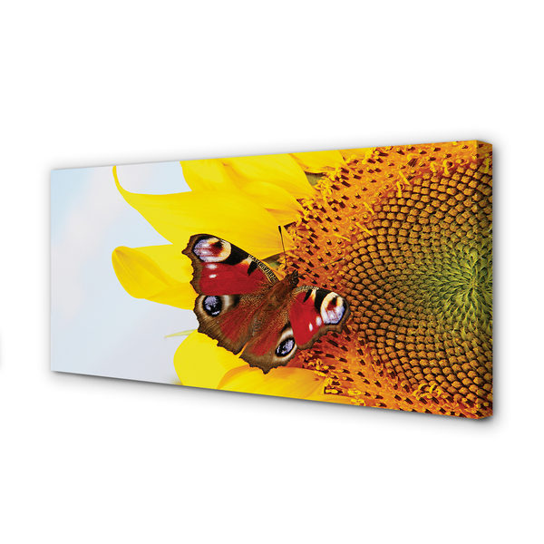 Tableaux sur toile canvas Papillon de tournesol