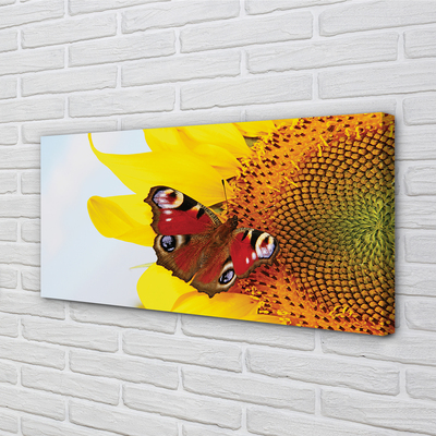 Tableaux sur toile canvas Papillon de tournesol