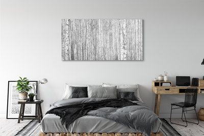 Tableaux sur toile canvas Forêt de noir et blanc