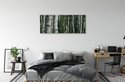 Tableaux sur toile canvas Forêt de bouleaux
