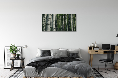 Tableaux sur toile canvas Forêt de bouleaux