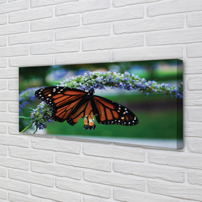 Tableaux sur toile canvas Papillon sur une fleur