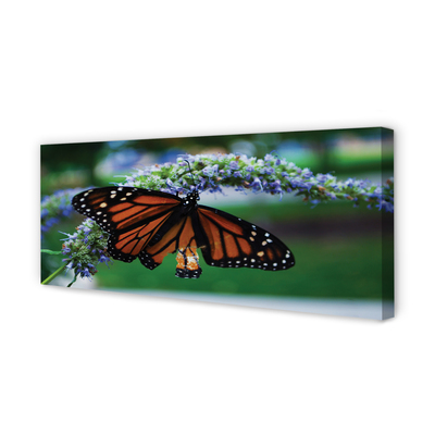 Tableaux sur toile canvas Papillon sur une fleur