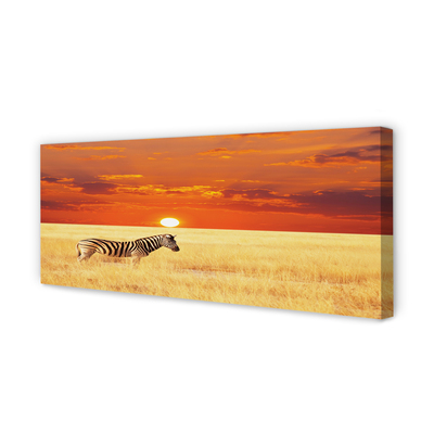 Tableaux sur toile canvas Zebra coucher du soleil sur le terrain