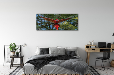 Tableaux sur toile canvas Perroquet ara