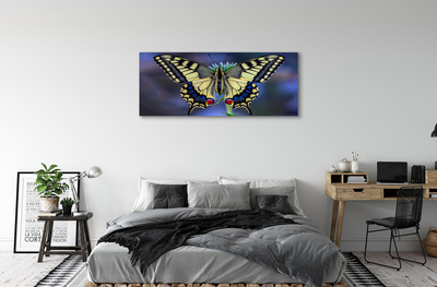 Tableaux sur toile canvas Papillon sur une fleur