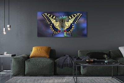 Tableaux sur toile canvas Papillon sur une fleur