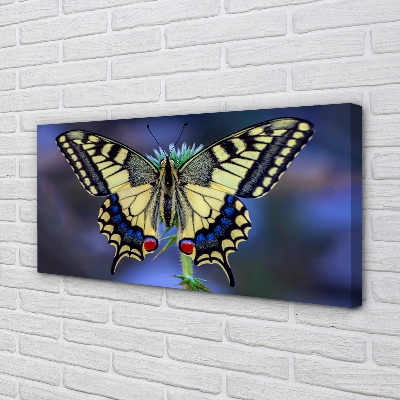 Tableaux sur toile canvas Papillon sur une fleur