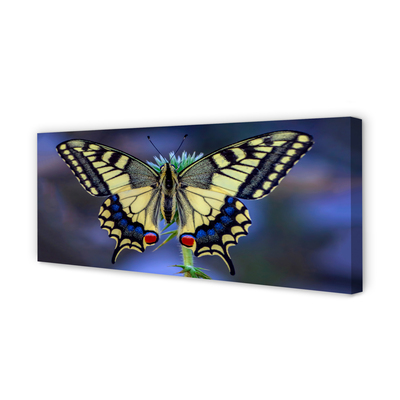 Tableaux sur toile canvas Papillon sur une fleur