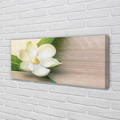 Tableaux sur toile canvas Magnolia blanc