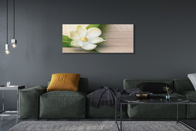 Tableaux sur toile canvas Magnolia blanc