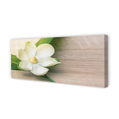 Tableaux sur toile canvas Magnolia blanc