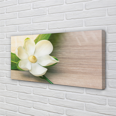 Tableaux sur toile canvas Magnolia blanc