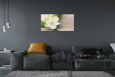 Tableaux sur toile canvas Magnolia blanc