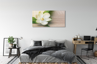 Tableaux sur toile canvas Magnolia blanc