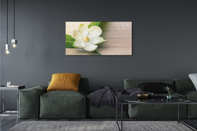 Tableaux sur toile canvas Magnolia blanc