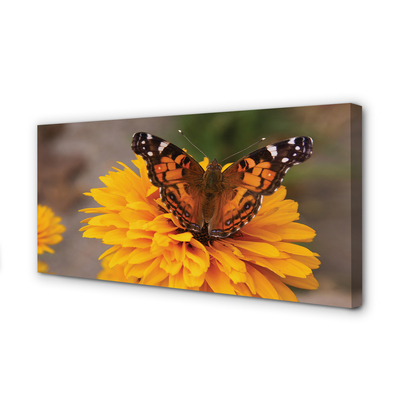 Tableaux sur toile canvas Fleur papillon coloré