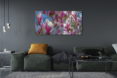 Tableaux sur toile canvas Arbre magnolias