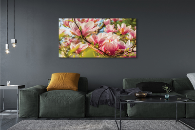 Tableaux sur toile canvas Magnolias rose