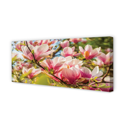 Tableaux sur toile canvas Magnolias rose