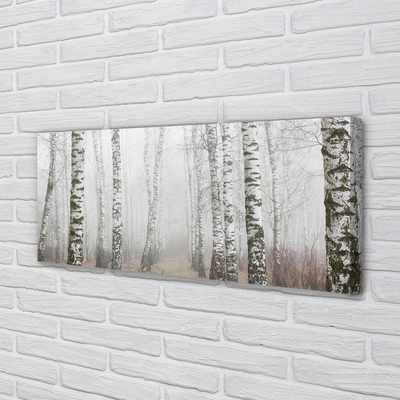 Tableaux sur toile canvas Bouleau brouillard