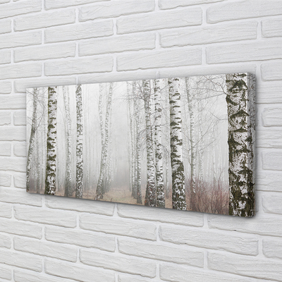 Tableaux sur toile canvas Bouleau brouillard