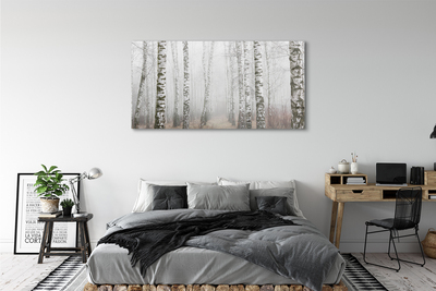 Tableaux sur toile canvas Bouleau brouillard