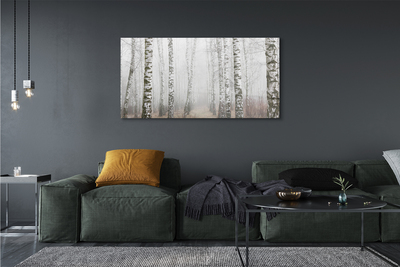 Tableaux sur toile canvas Bouleau brouillard