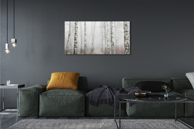 Tableaux sur toile canvas Bouleau brouillard